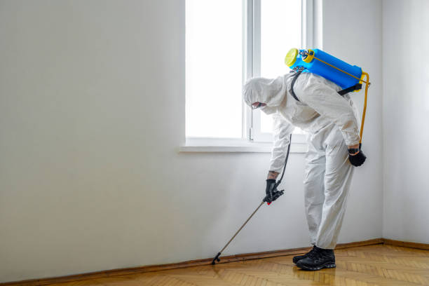 Pest Control for Hotels in Crooks, SD